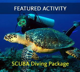 Featured Activity Roatan Accommodation and Activities