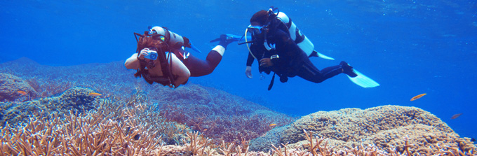 Scuba Diving Roatan