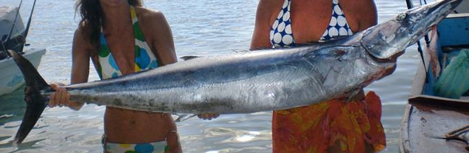 fishing roatan