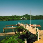 Mangrove Dock Roatan 09