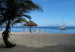 West Bay Beach Roatan Island