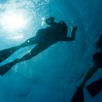 Island Snorkeling Underwater
