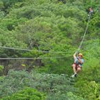 roatan island activities